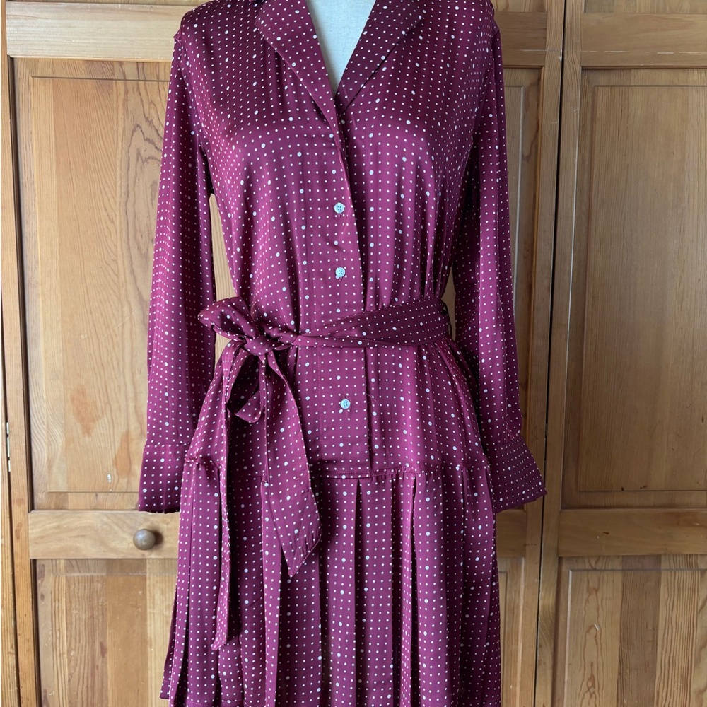 Burgundy Polka Dot Shirt Dress